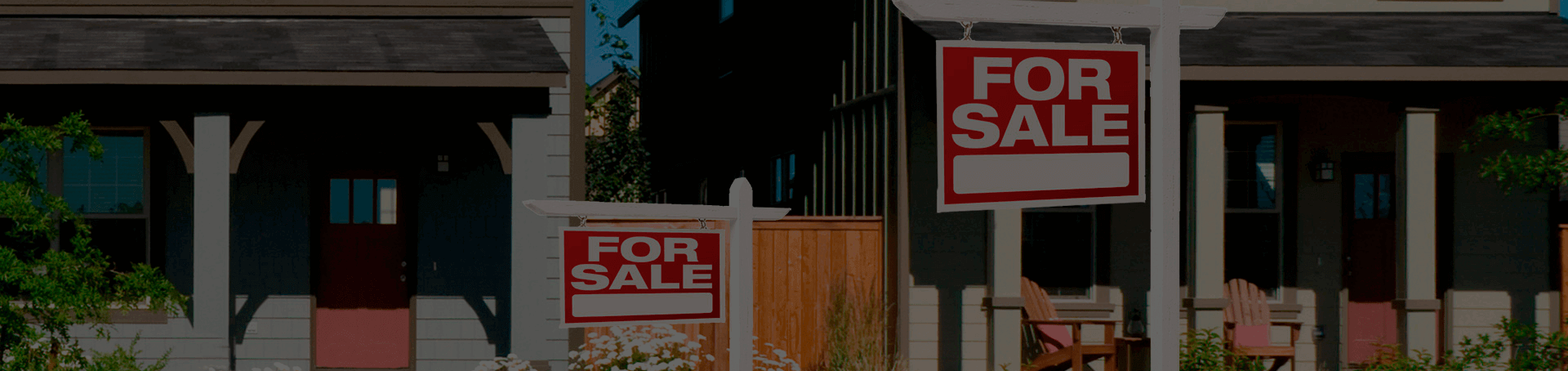 bottom-search-background